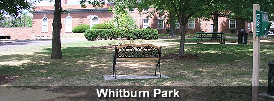 Whitburn-Park.jpg