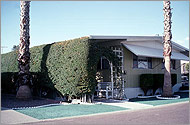 Photo of a home with a trellis heavily covered in greenery over a patio area on the side of the house.