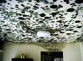 picture of mold on ceiling 